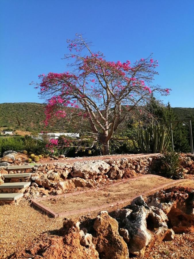 Duas Casas De Ferias Medronhal Faro Em 520 - 2 Εξωτερικό φωτογραφία
