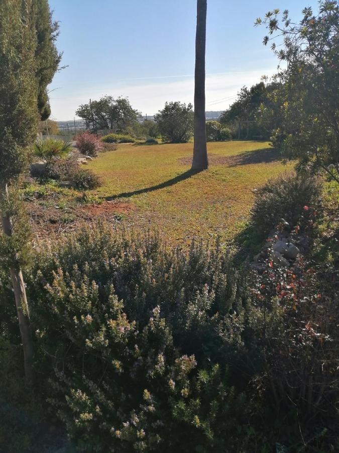 Duas Casas De Ferias Medronhal Faro Em 520 - 2 Εξωτερικό φωτογραφία