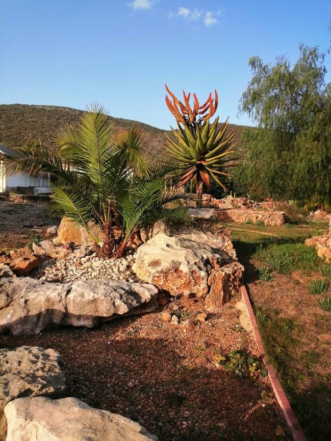 Duas Casas De Ferias Medronhal Faro Em 520 - 2 Εξωτερικό φωτογραφία