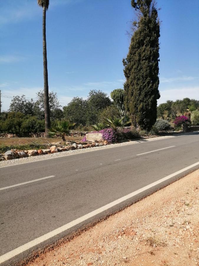 Duas Casas De Ferias Medronhal Faro Em 520 - 2 Εξωτερικό φωτογραφία
