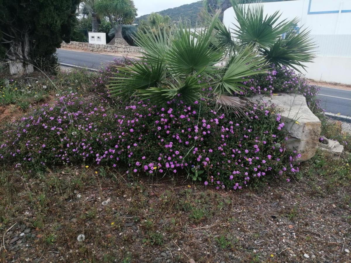 Duas Casas De Ferias Medronhal Faro Em 520 - 2 Εξωτερικό φωτογραφία