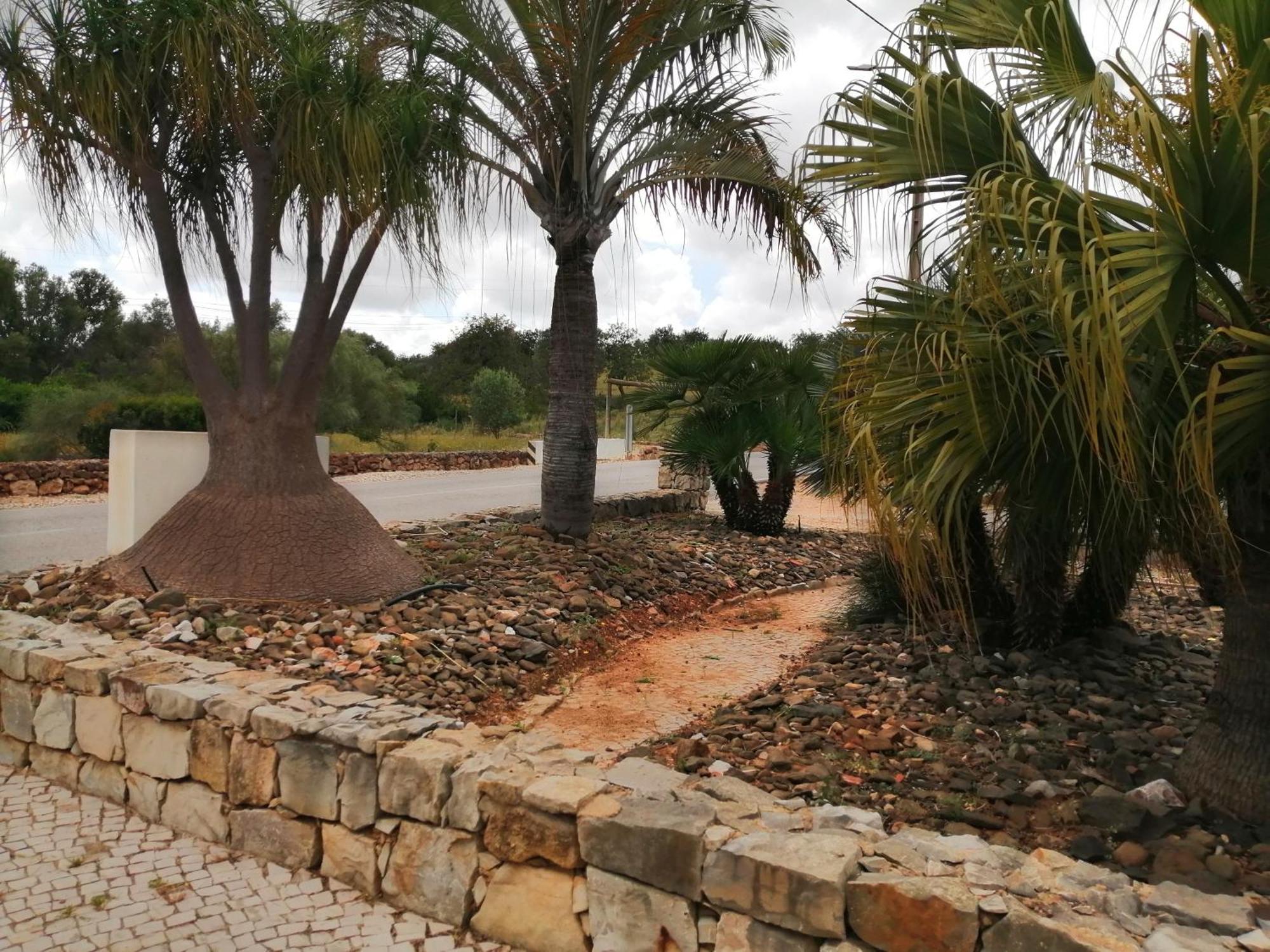 Duas Casas De Ferias Medronhal Faro Em 520 - 2 Εξωτερικό φωτογραφία